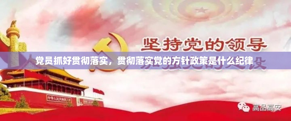 党员抓好贯彻落实，贯彻落实党的方针政策是什么纪律 