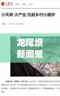 龙尾坝新闻聚焦,最新动态、深度解析,一网打尽!