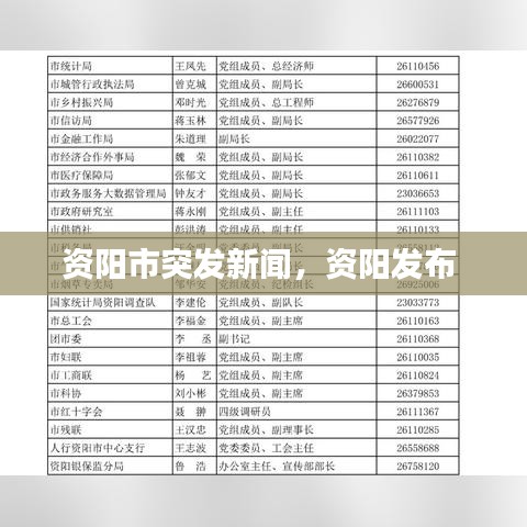 破衲疏羹 第2页