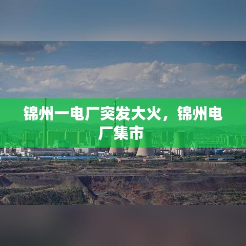 锦州一电厂突发大火,锦州电厂集市