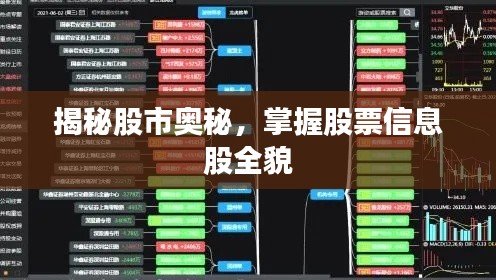 揭秘股市奥秘,掌握股票信息股全貌
