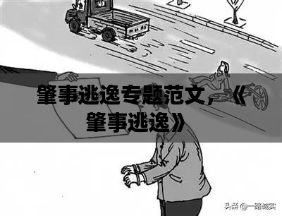 肇事逃逸专题范文,《肇事逃逸》