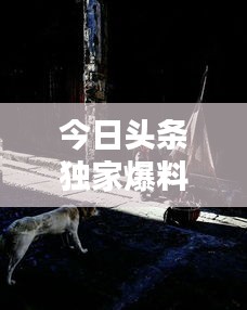 今日头条独家爆料,佳木斯最新动态一网打尽