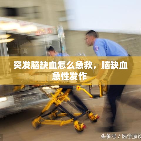 窗明几净 第2页