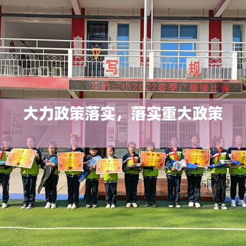 大力政策落实,落实重大政策