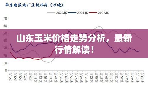 山东玉米价格走势分析,最新行情解读!