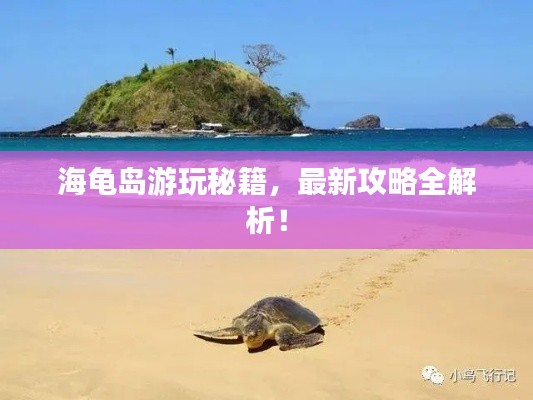 海龟岛游玩秘籍,最新攻略全解析!