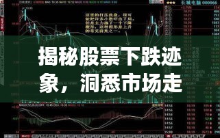 雍容雅步 第2页