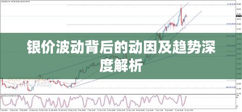 倦鸟思归 第2页