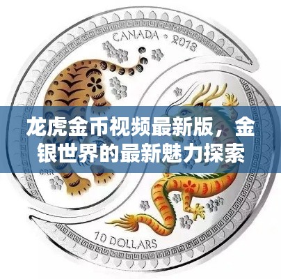 龙虎金币视频最新版,金银世界的最新魅力探索