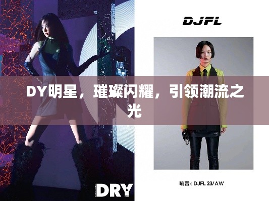 DY明星,璀璨闪耀,引领潮流之光