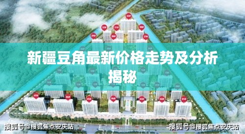 新疆豆角最新价格走势及分析揭秘